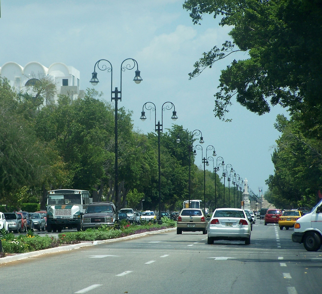 paseomontejo1